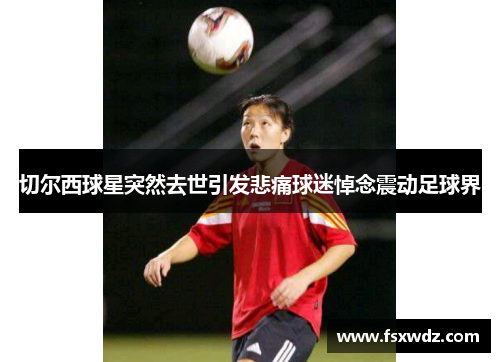 切尔西球星突然去世引发悲痛球迷悼念震动足球界