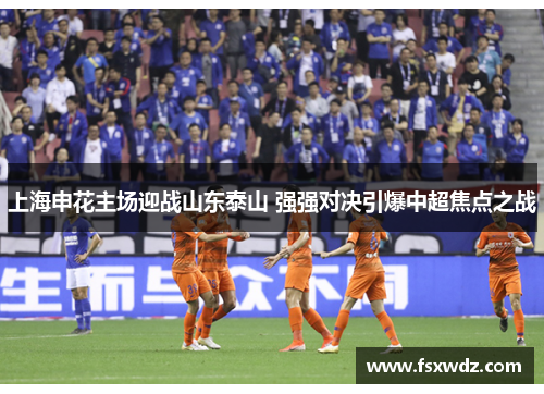 上海申花主场迎战山东泰山 强强对决引爆中超焦点之战
