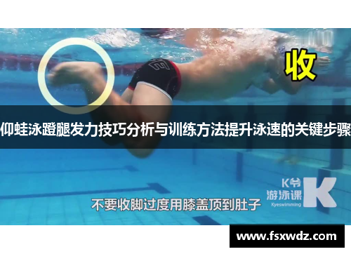 仰蛙泳蹬腿发力技巧分析与训练方法提升泳速的关键步骤