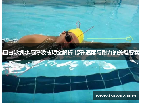 自由泳划水与呼吸技巧全解析 提升速度与耐力的关键要素