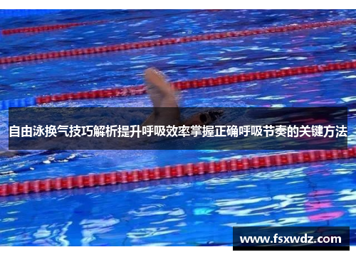 自由泳换气技巧解析提升呼吸效率掌握正确呼吸节奏的关键方法