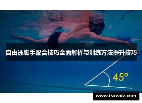 自由泳脚手配合技巧全面解析与训练方法提升技巧
