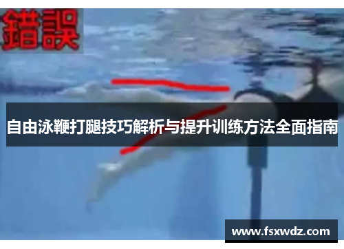 自由泳鞭打腿技巧解析与提升训练方法全面指南