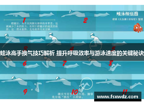 蛙泳高手换气技巧解析 提升呼吸效率与游泳速度的关键秘诀